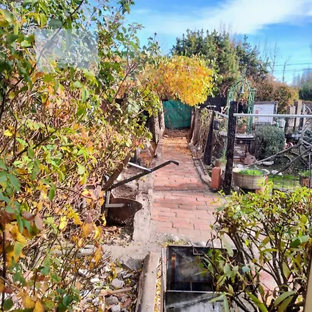 Cabanas Del Arroyo San Martín de los Andes Exterior foto